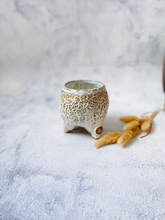 Load image into Gallery viewer, The 'Tipsy' Planter